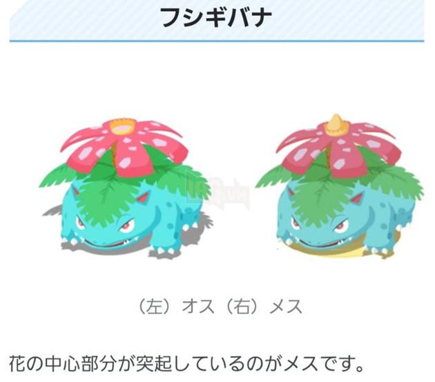 pokemon venusaur