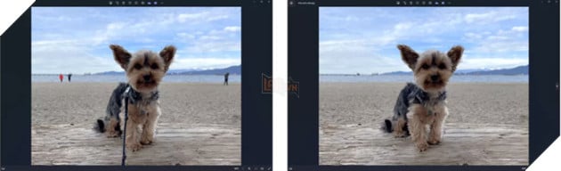 Windows Photos cập nhật tính năng xoá vật thể thừa trong ảnh bằng AI