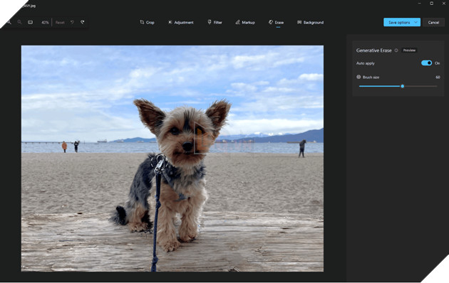 Windows Photos cập nhật tính năng xoá vật thể thừa trong ảnh bằng AI
