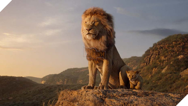 Mufasa: The Lion King Hé Lộ Mufasa Thời Trẻ Và Nhiều Bối Cảnh Khác Nhau Của Phim 2