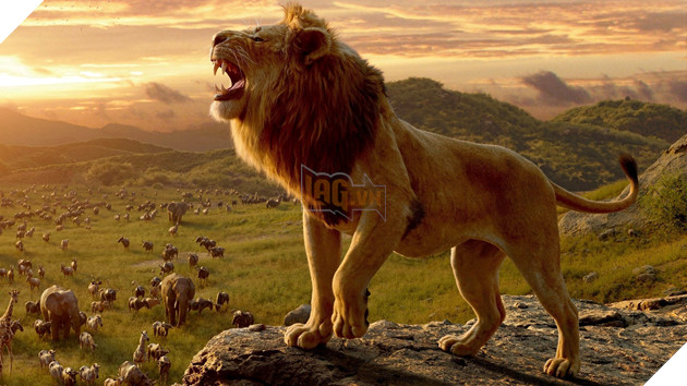 Mufasa: The Lion King Hé Lộ Mufasa Thời Trẻ Và Nhiều Bối Cảnh Khác Nhau Của Phim 3