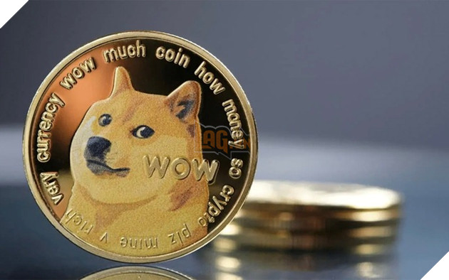 Doge
