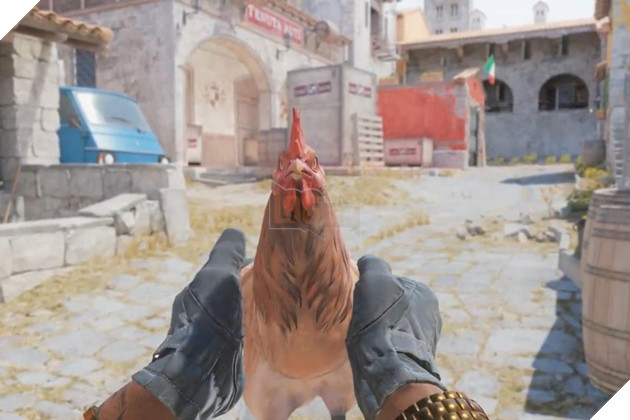 CS2 chicken