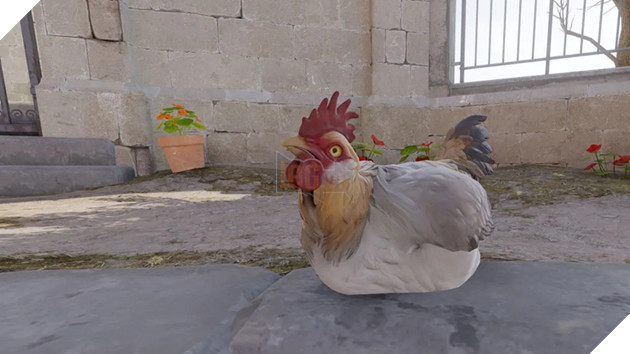 CS2 chicken