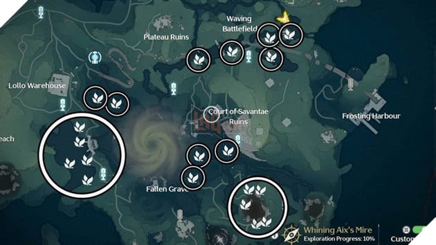 Iris wuthering waves