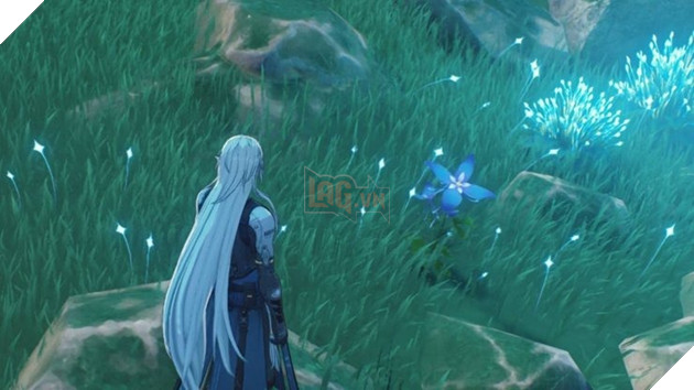 Iris wuthering waves