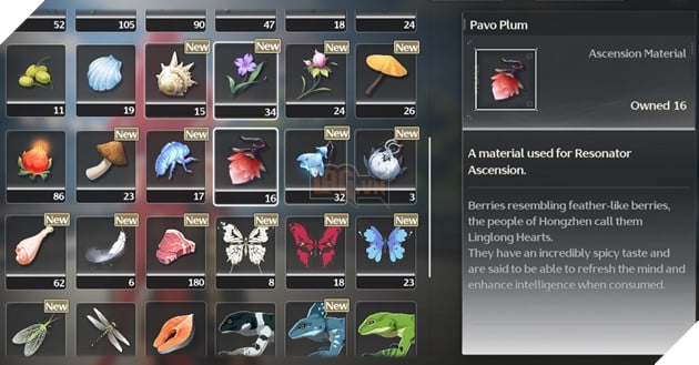 Changli Wuthering Waves