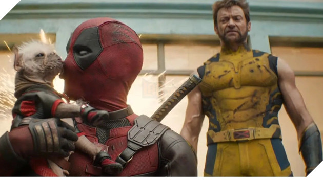 Ryan Reynolds Tuyên Bố Dogpool 10 Điểm Không Có Nhưng Trong Lòng Đoàn Phim Deadpool & Wolverine 2