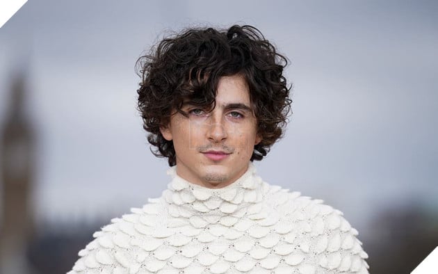 Timothée Chalamet Từng Nhận Được Lời Khuyên Phải Thay Đổi Ngoại Hình Để Nhận Được Vai Diễn