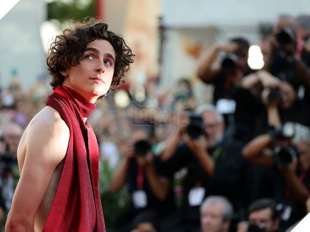 Timothée Chalamet Từng Nhận Được Lời Khuyên Phải Thay Đổi Ngoại Hình Để Nhận Được Vai Diễn 3