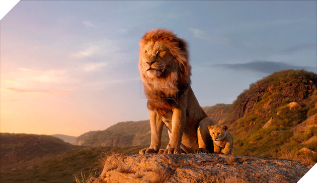 Đạo Diễn Phim Mufasa The Lion King Chia Sẻ Không Quay Lại Làm Phim Hoàn Toàn Bằng CGI 1 Lần Nữa  3