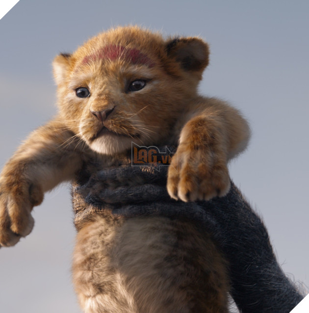 Đạo Diễn Phim Mufasa The Lion King Chia Sẻ Không Quay Lại Làm Phim Hoàn Toàn Bằng CGI 1 Lần Nữa  2