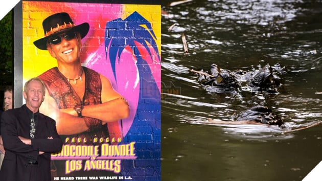 Ngôi Sao Đặc Biệt Trong Phim Crocodile Dundee Đã Qua Đời 2