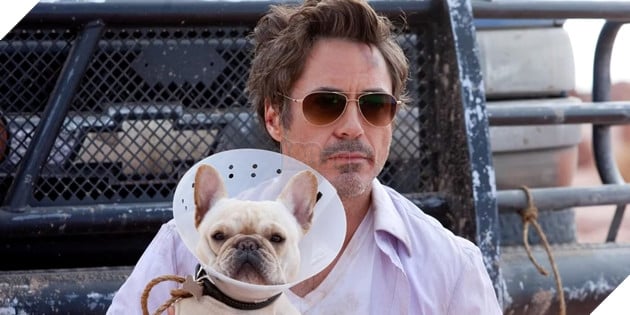 Phim Hài Due Date Từng Bị Chê Thậm Tệ Của Robert Downey Jr. Bất Ngờ Thành Công Trên Netflix