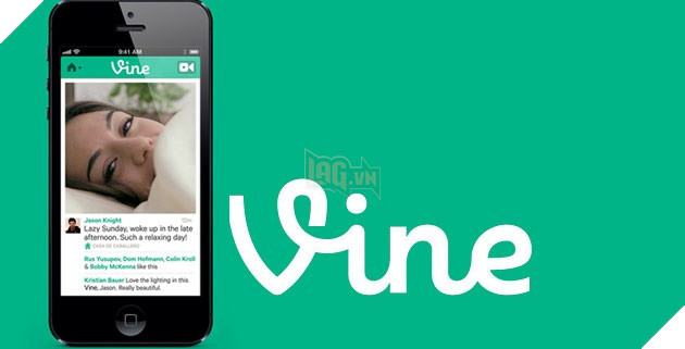 Vine