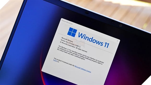 Microsoft khuyên người dùng Windows 11 quay trở lại Windows 10