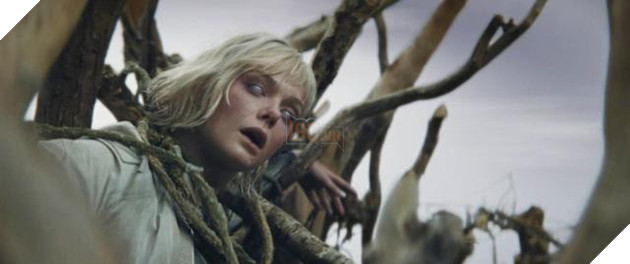 Dự Án Phim Predator Badlands Tung Trailer Tiết Lộ Hình Ảnh Và Câu Chuyện Mới 2