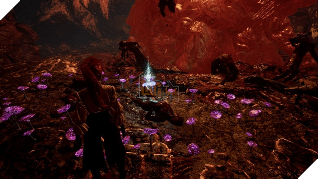 Clair Obscur: Expedition 33 - Hướng Dẫn Tìm Ra Toàn Bộ Nhật Ký Các Đoàn Thám Hiểm Phần 4  4