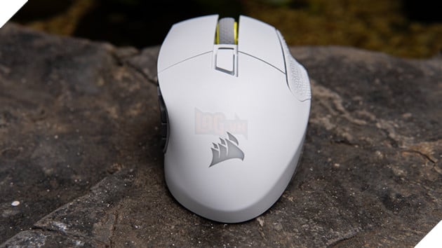 Tổng quan Scimitar Elite Wireless SE