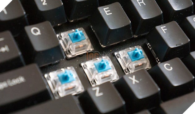 Switch bàn phím cơ