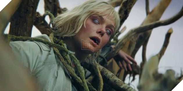 Hình ảnh về phim Predator