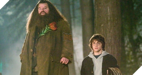 Hình ảnh về diễn viên Robbie Coltrane trong vai bác Hagrid.