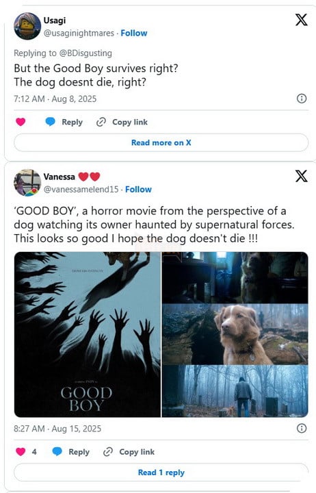 Chú chó trong phim kinh dị Good Boy có qua đời ở cuối phim không? 2