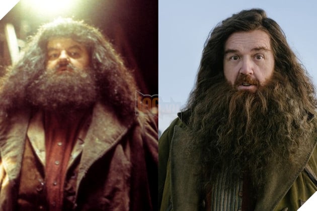 Hình ảnh về tạo hình nhân vật bác Hagrid của series phim Harry Potter và phiên bản của HBO