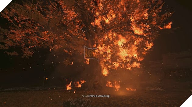 Ghost of Yotei: Ý Nghĩa Sâu Sắc Của Cây Bạch Quả Trong Game 3