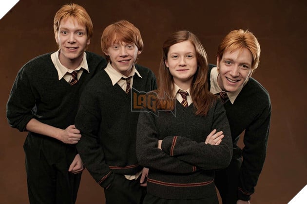 Hình ảnh về dàn diễn viên thời đóng phim "Harry Potter".