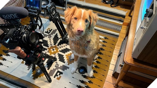 Hình ảnh "diễn viên bốn chân" nổi tiếng của bộ phim Good Boy.