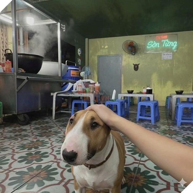 Game Quán Phở Anh Hai gây sốt, quán ăn Hà Nội bỗng đông khách vì nuôi “cậu Vàng” giống trong game 2