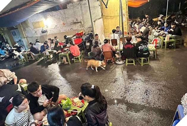 Game Quán Phở Anh Hai gây sốt, quán ăn Hà Nội bỗng đông khách vì nuôi “cậu Vàng” giống trong game