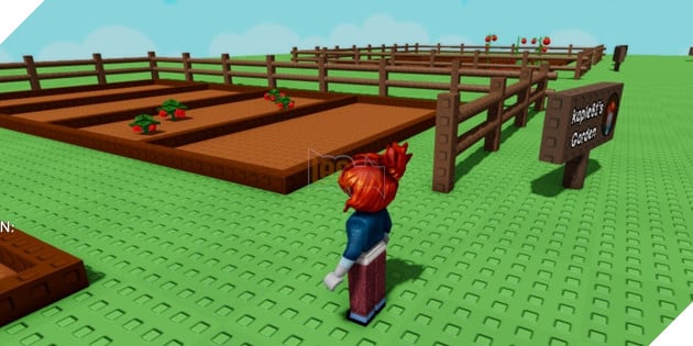 Hình ảnh trong game Grow A Garden.