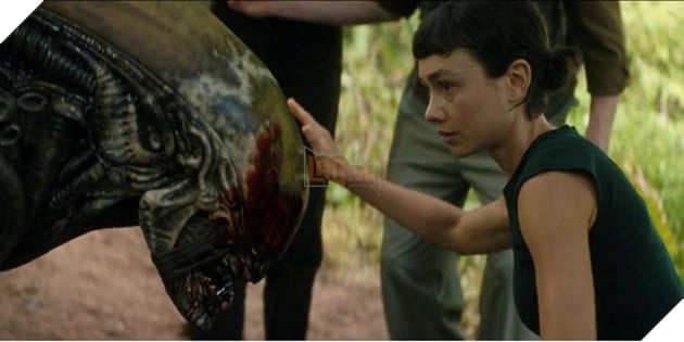 Hình ảnh về phim Alien: Earth.