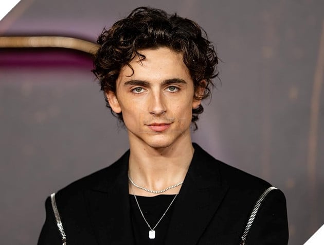 Hình ảnh sao nam Timothée Chalamet.