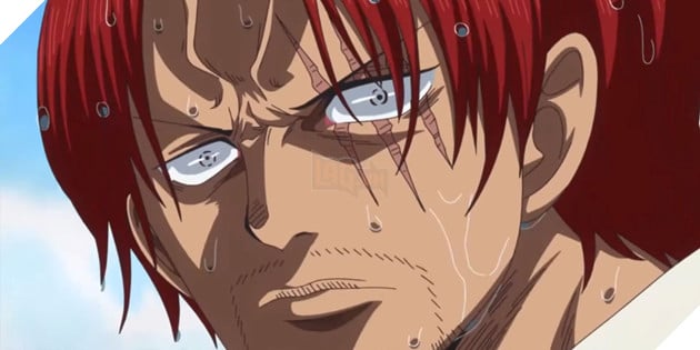 Haki hay Trái Ác Quỷ mạnh hơn? Oda đã đưa ra câu trả lời rõ ràng trong One Piece 2