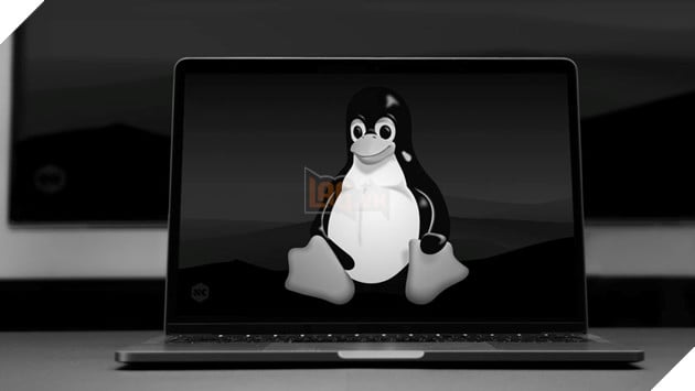 Snapdragon X Elite gây thất vọng trên Linux khi hiệu năng thụt lùi nghiêm trọng