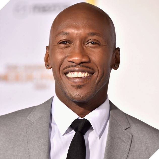 Hình ảnh về sao nam Mahershala Ali.