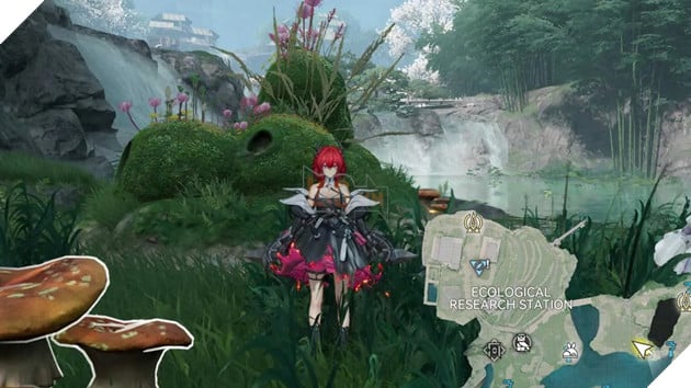 Toàn Bộ Rare Growth & Rare Ore Trong Arknights Endfield: Vị Trí Chi Tiết Theo Bản Đồ 12