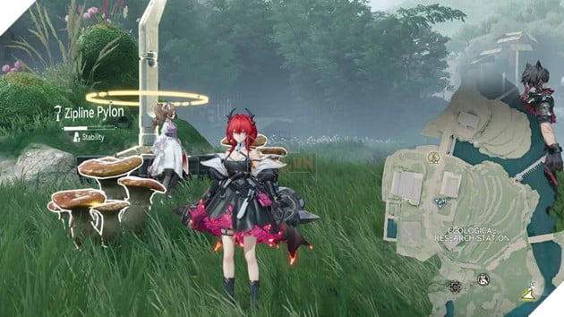 Toàn Bộ Rare Growth & Rare Ore Trong Arknights Endfield: Vị Trí Chi Tiết Theo Bản Đồ 13