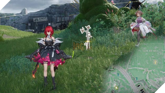 Toàn Bộ Rare Growth & Rare Ore Trong Arknights Endfield: Vị Trí Chi Tiết Theo Bản Đồ 16