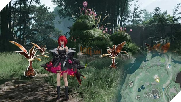 Toàn Bộ Rare Growth & Rare Ore Trong Arknights Endfield: Vị Trí Chi Tiết Theo Bản Đồ 27