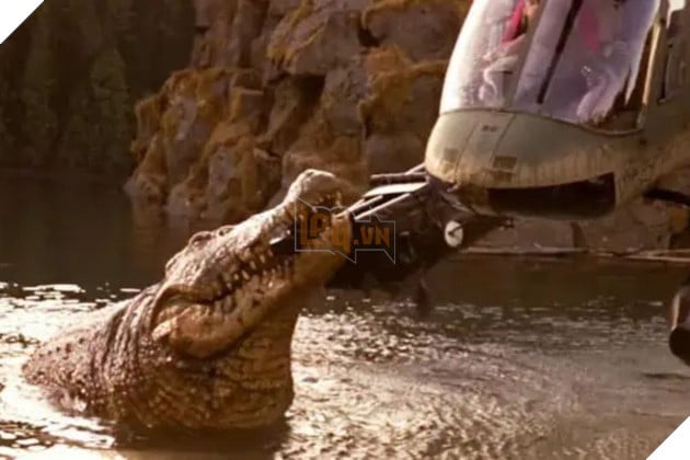 Hình ảnh về phim The Death Roll.