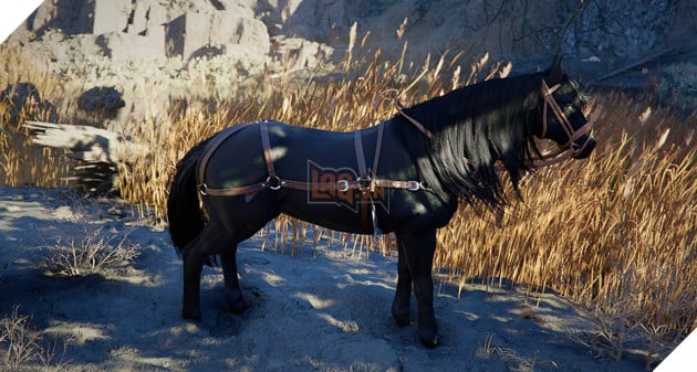 Crimson Desert: Hướng Dẫn Nơi Tìm Ra Và Sở Hữu Những Con Ngựa Huyền Thoại 4
