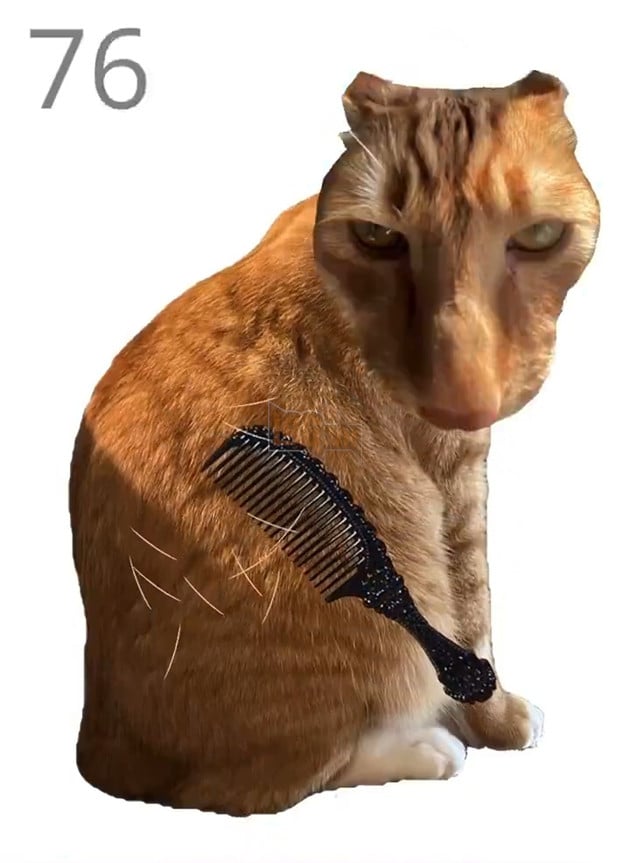 Game mèo Brush Jjaemu gây sốt cộng đồng mạng 2