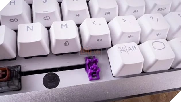 “Bảo tàng Âm thanh” bàn phím cơ: Sân chơi độc lạ dành cho dân mê tiếng switch