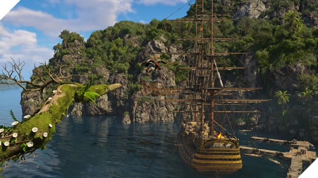 Các Mức Cấu Hình Dành Cho Assassin's Creed Black Flag Resynced 3