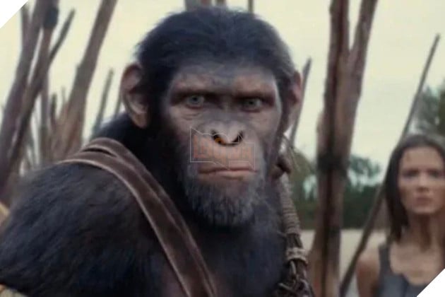 Hình ảnh về phim Planet of the Apes.