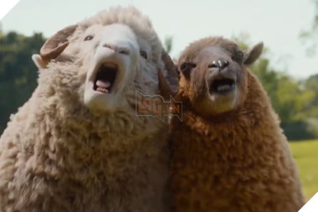 Hình ảnh về phim The Sheep Detectives.